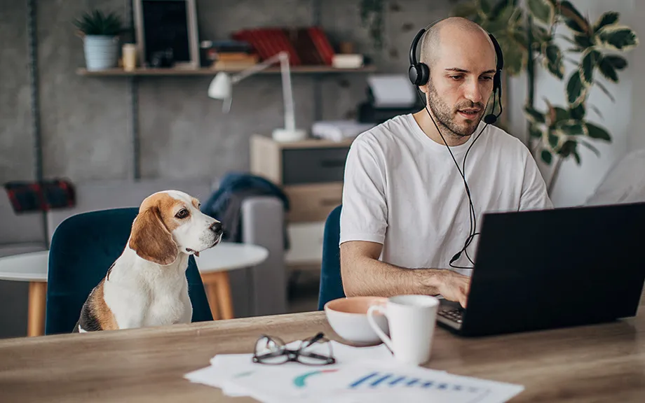 The Basics of Working From Home